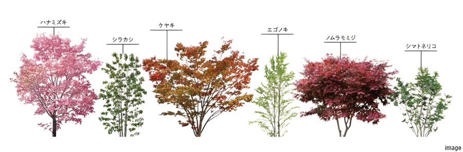 リビオタワー羽沢横浜国大植栽｜リビオタワー羽沢横浜国大